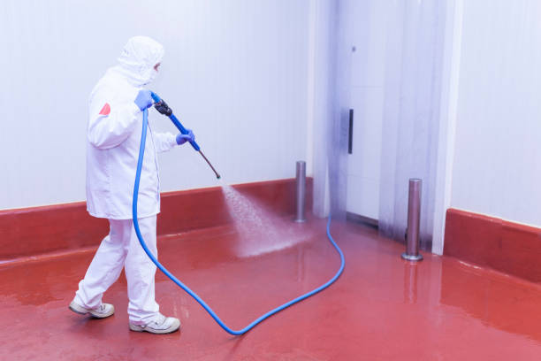 Best Patio and Deck Pressure Washing  in Junction, TX